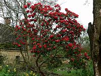2011-04-12_09-55-48_0066