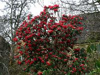2011-04-12_09-56-29_0075