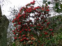 2011-04-12_09-56-54_0081