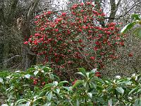 2011-04-12_09-59-45_0107