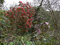 2011-04-12_10-00-47_0113