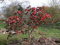 2011-04-12_10-37-18_0043