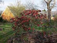 2011-04-13_16-59-05_0031