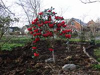 2011-04-13_17-01-37_0054