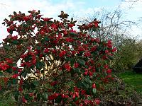 2011-04-13_17-02-44_0057