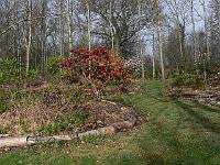 2011-04-14_08-23-05_0002