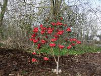 2011-04-14_08-27-00_0022