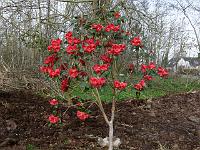 2011-04-14_08-27-22_0028