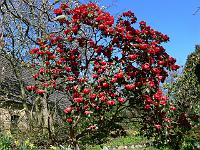 2011-04-14_11-05-25_0053