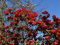 2011-04-14_11-05-37_0057