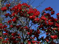 2011-04-14_11-06-31_0060