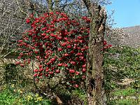 2011-04-14_11-08-38_0082