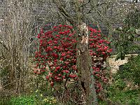 2011-04-15_09-14-53_0148