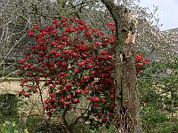 2011-04-15_09-15-11_0151