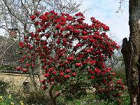 2011-04-15_09-16-22_0162