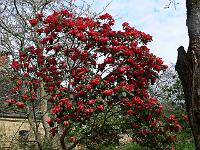 2011-04-15_09-16-37_0165