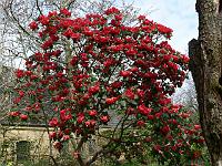 2011-04-15_09-16-49_0166