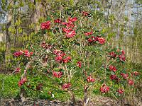 2013-05-06_07-35-06_0002