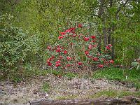 2013-05-08_16-55-03_0025
