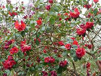 2014-04-07_09-32-32_0075