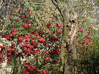2014-04-09_08-36-41_0088
