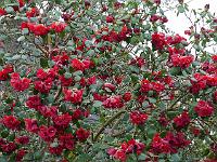 2014-04-09_17-56-56_0135