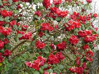 2014-04-10_08-50-06_0200