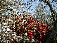 2014-04-15_07-54-48_0036