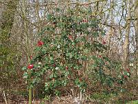 2015-04-12-08-48-19