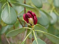 2015-04-13-10-18-18