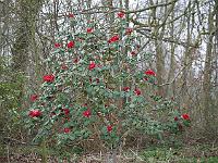 2015-04-14-17-11-21