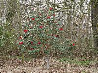 2015-04-14-17-11-37