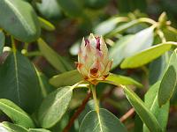2015-04-16-11-19-48