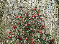 2015-04-16-11-22-51