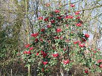 2015-04-17-08-02-47