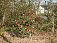 2015-04-18-07-26-48