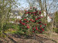 2015-04-19-08-37-45