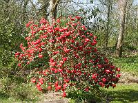 2015-04-21-09-24-55