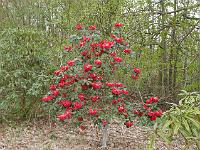 2015-04-23-08-54-44