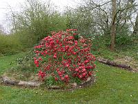2015-04-23-08-56-18