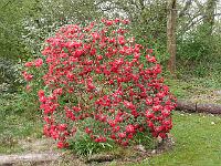 2015-04-24-08-38-44