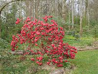 2015-04-24-08-39-08