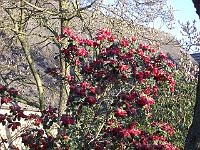 24-04-05kodak_003