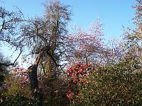 24-04-05kodak_018