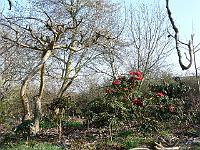 24-04-2006_17-51-11_45
