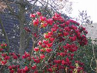 28-04-05kodak_199