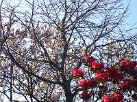 28-04-05kodak_202