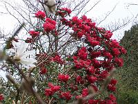 29-04-05kodak_101