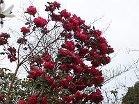 29-04-05kodak_105
