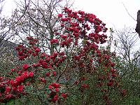 29-04-05kodak_107